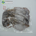 Dry squid whole round dried illex squid todarodes squid